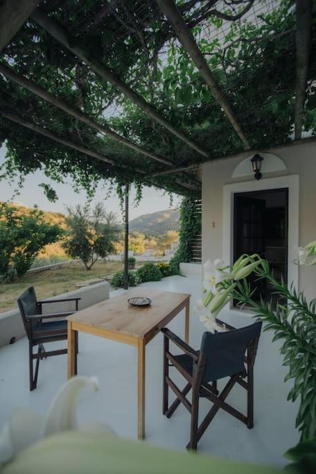 Countryside I Naxos Apartment